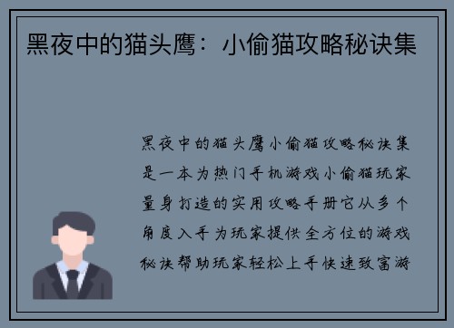 黑夜中的猫头鹰:小偷猫攻略秘诀集